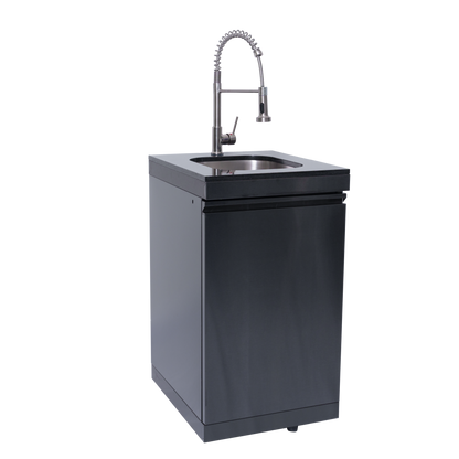 Black Deluxe Stainless Steel Propane Gas Grill