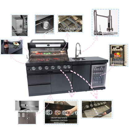Black Deluxe Stainless Steel Propane Gas Grill