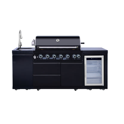 Black Stainless Steel Propane Gas BBQ Grill