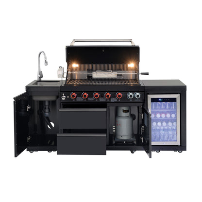 Black Stainless Steel Propane Gas BBQ Grill