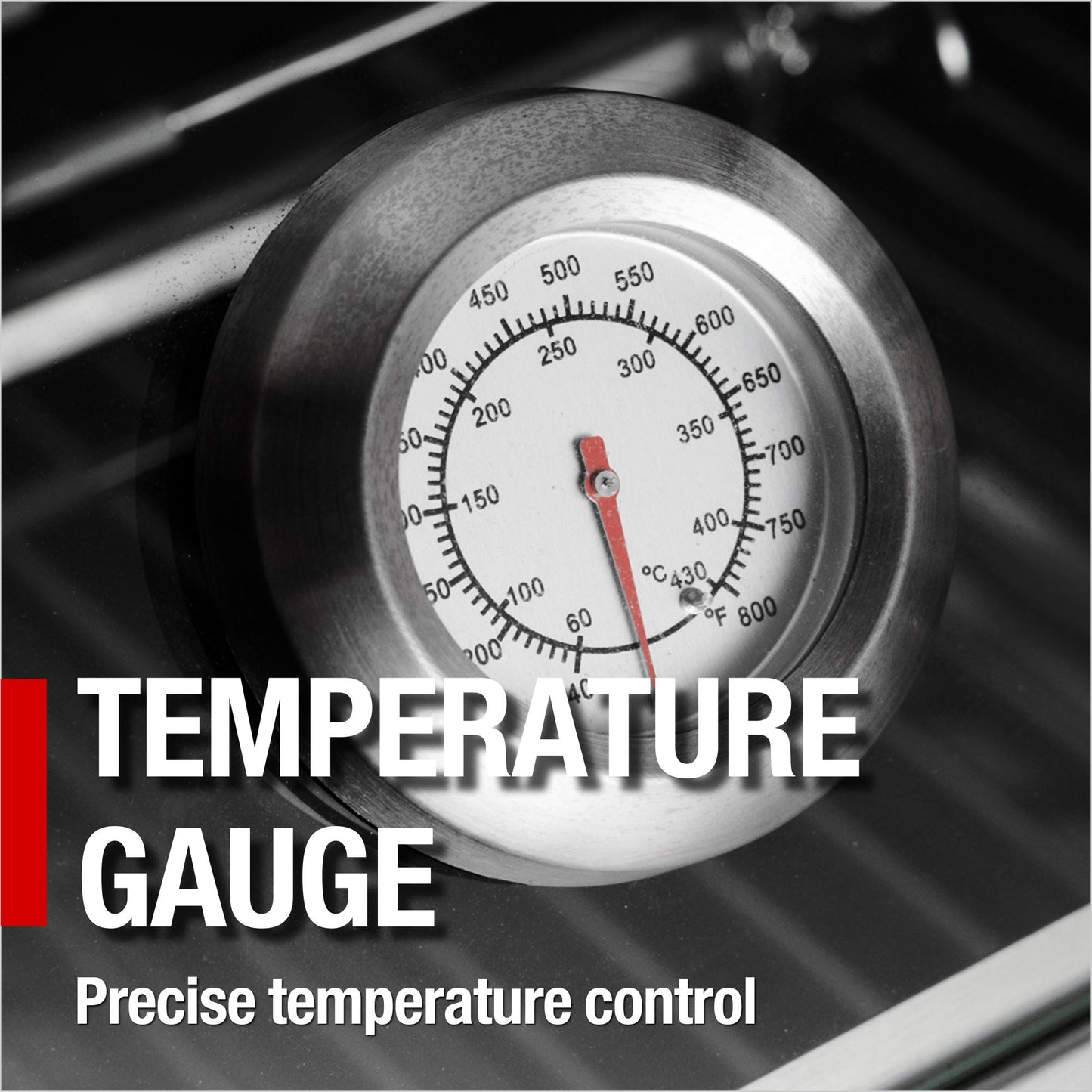 Deluxe Stainless Steel Barbecue Gas Grill
