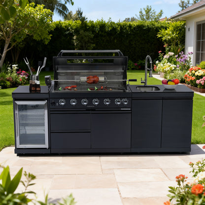 Deluxe Stainless Steel Barbecue Gas Grill