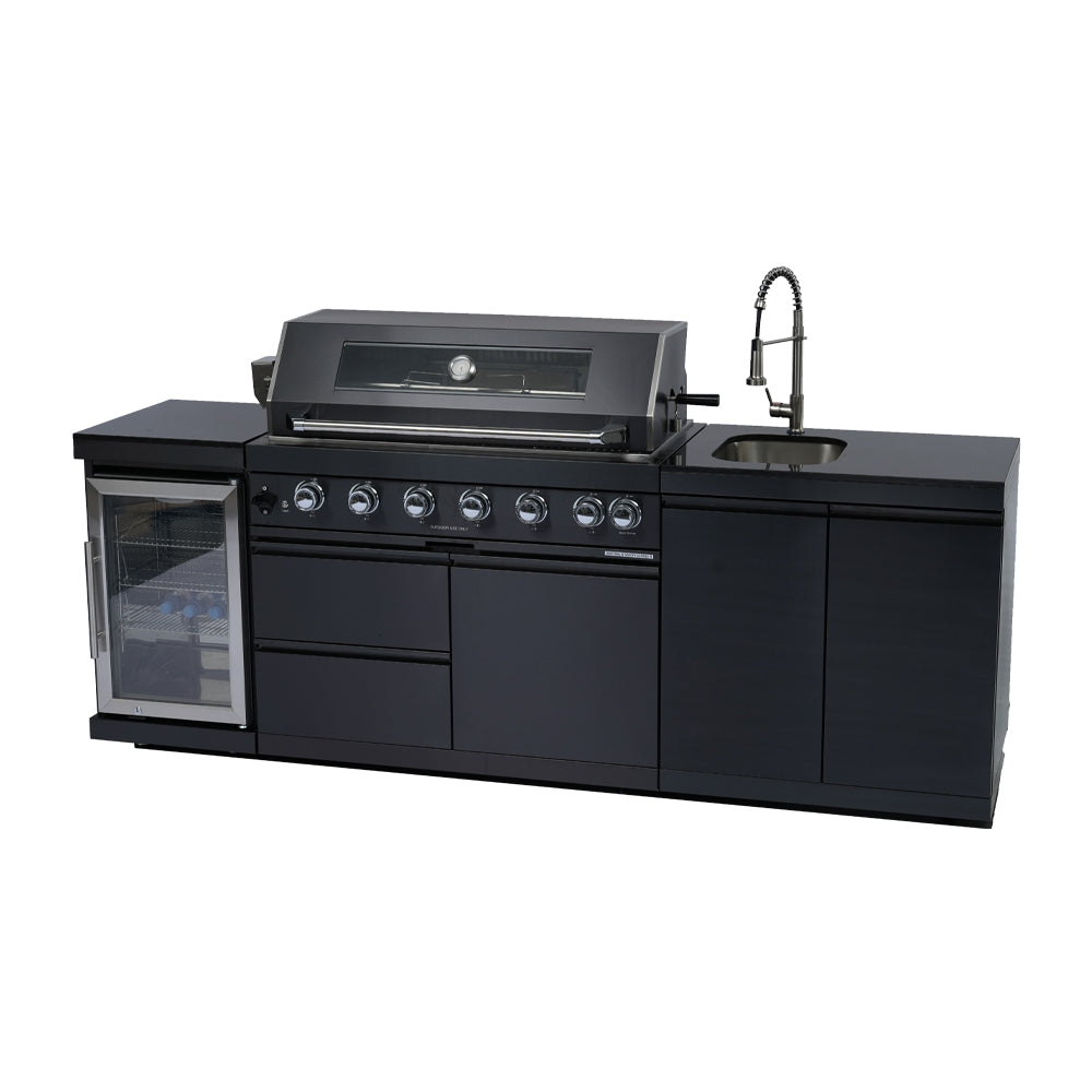 Deluxe Stainless Steel Barbecue Gas Grill