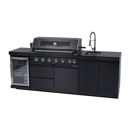 Deluxe Stainless Steel Barbecue Gas Grill