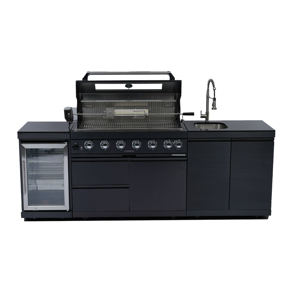 Deluxe Stainless Steel Barbecue Gas Grill