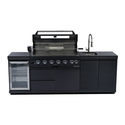 Deluxe Stainless Steel Barbecue Gas Grill