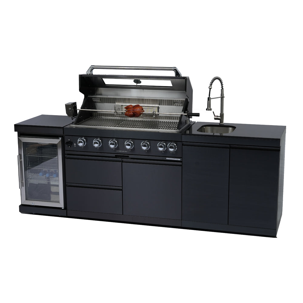Deluxe Stainless Steel Barbecue Gas Grill