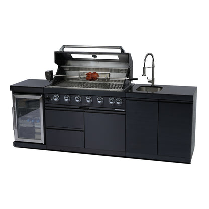 Deluxe Stainless Steel Barbecue Gas Grill