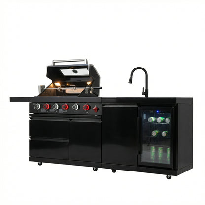 Deluxe Stainless Steel Gas BBQ Grill