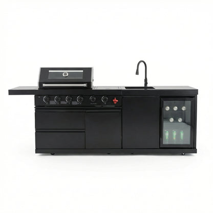 Deluxe Stainless Steel Gas BBQ Grill