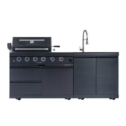 Deluxe Stainless Steel Propane Gas Grill Set