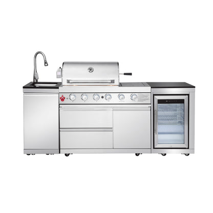 Outdoor Propane Gas BBQ Grill