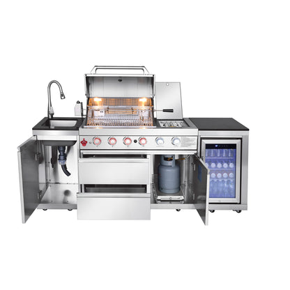 Outdoor Propane Gas BBQ Grill