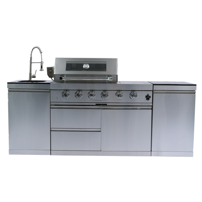 Stainless Steel Propane Barbecue Grill