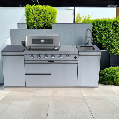 Stainless Steel Propane Barbecue Grill