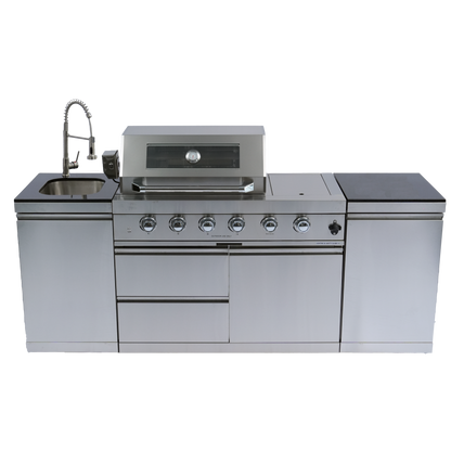 Stainless Steel Propane Barbecue Grill