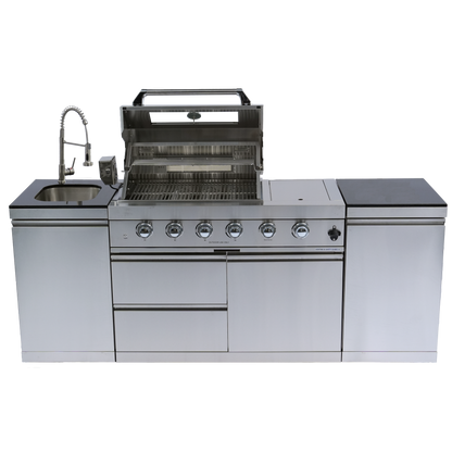 Stainless Steel Propane Barbecue Grill