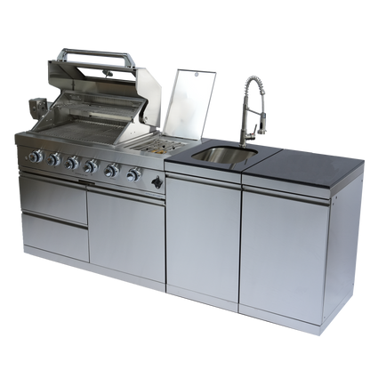 Stainless Steel Propane Barbecue Grill