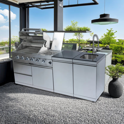 Stainless Steel Propane Barbecue Grill