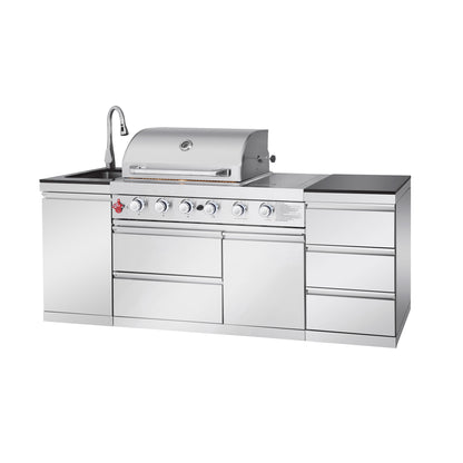Stainless Steel Propane Gas BBQ Grill