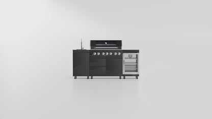 Black Deluxe Stainless Steel Propane Gas Grill